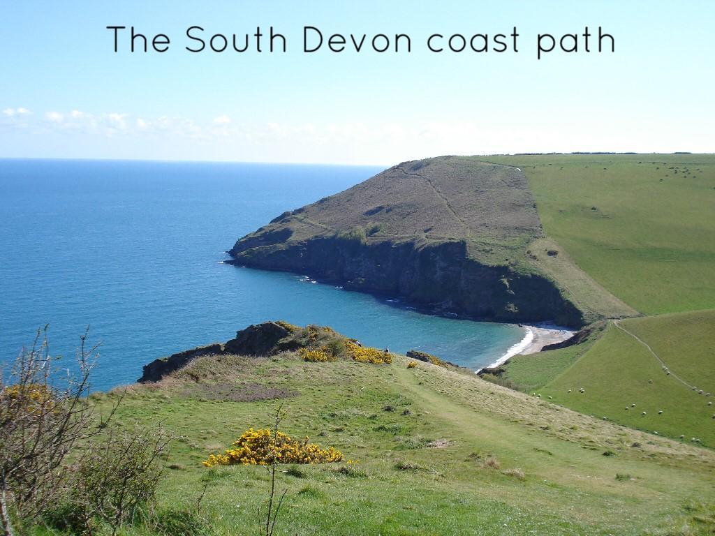 ホテルDevon Hills ペイントン エクステリア 写真